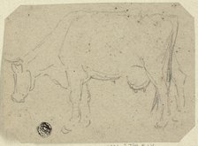 Cow Grazing (recto); Head of an Animal (verso), n.d. Creator: Unknown.