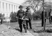 Augustus Octavius Bacon, Senator From Georgia. Left, Planting Tree At Capitol, 1911. Creator: Harris & Ewing.
