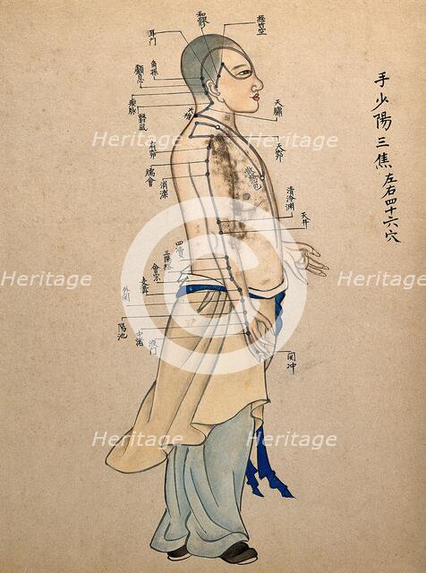 Acupuncture chart with a series of points indicated on the figure of a standing Chinese man. Creator: Unknown.
