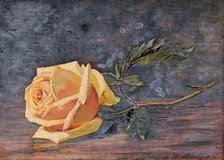 Yellow Rose, 1887. Creator: Florence Westwood Whitfield.