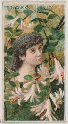 Honeysuckle: Fidelity, from the series Floral Beauties and Language of Flowers (N75) for D..., 1892. Creator: Donaldson Brothers.
