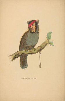 Gallows Bird, from The Comic Natural History of the Human Race, 1851. Creators: Henry Louis Stephens, L. Rosenthal.