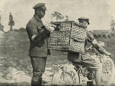 'British Army Carrier Pigeons in France', (1919). Creator: Unknown.