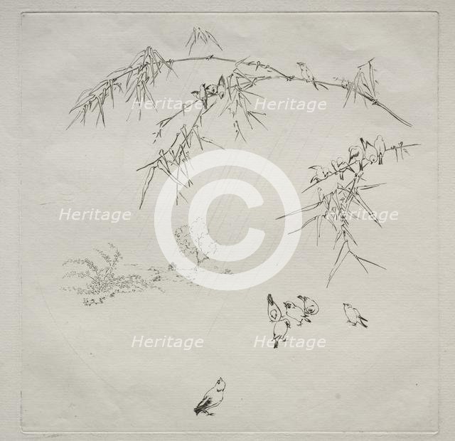 Parisian Service (Haviland service): Rain (no. 10), 1875. Creator: Félix Bracquemond (French, 1833-1914).