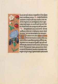 Hours of Queen Isabella the Catholic, Queen of Spain: Fol. 245v, c. 1500. Creator: Master of the First Prayerbook of Maximillian (Flemish, c. 1444-1519); Associates, and.