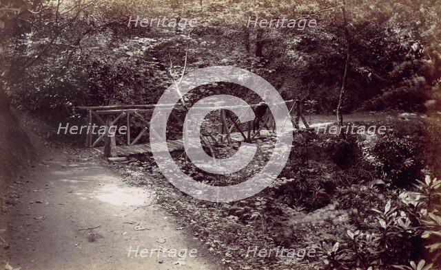 Colwyn Bay. Rustic Bridge in the Wood, 1870s. Creator: Francis Bedford.