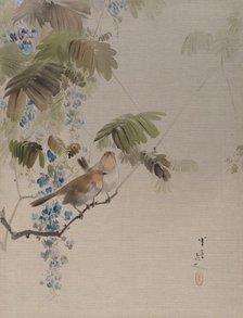 Birds and Flowers, ca. 1887. Creator: Watanabe Seitei.