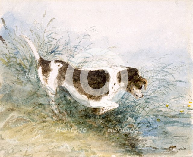'A Dog Watching a Rat in the Water', 1831. Artist: John Constable