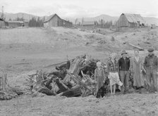 The Unruf family, stump pile, and their partly developed farm, Boundary County, Idaho, 1939. Creator: Dorothea Lange.