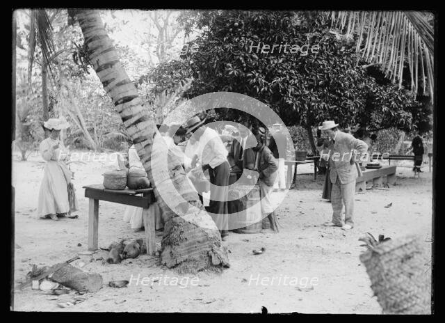Tourists buying coconuts and fruit from vendor, probably Nassau, Bahamas, between 1900 and 1915. Creator: Unknown.