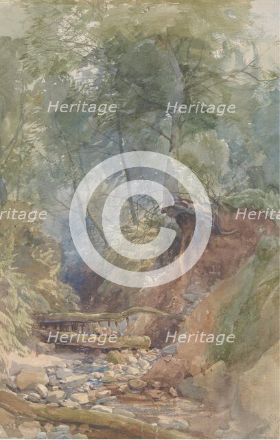 A Stream Near Clovelly, North Devon, 1850. Creator: John Middleton.