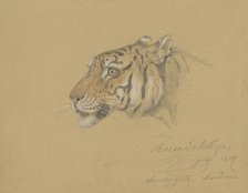 Head of a Tiger, 1847. Creator: Raden Saleh.