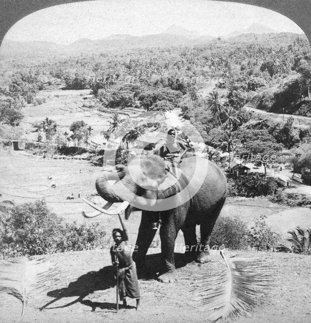 An elephant and its keeper, Sri Lanka, 1902.Artist: Underwood & Underwood