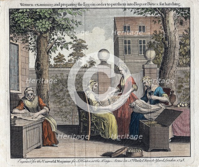 Women examining silk moth eggs and putting them in boxes for hatching into caterpillars, 1748. Artist: Unknown
