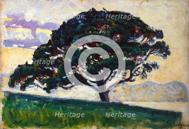 'Large Pine, Saint-Tropez', 1892-1893.  Artist: Paul Signac