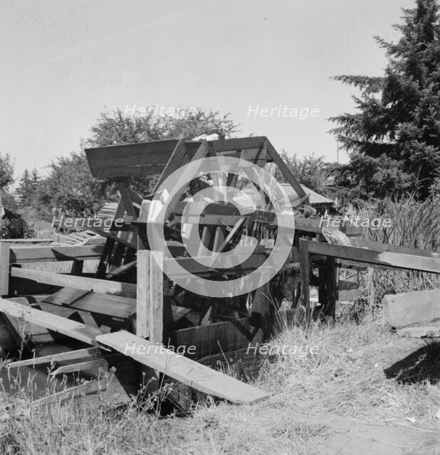 Waterwheel for field irrigation in the bean..., north of West Stayton, Marion County, Oregon, 1939. Creator: Dorothea Lange.