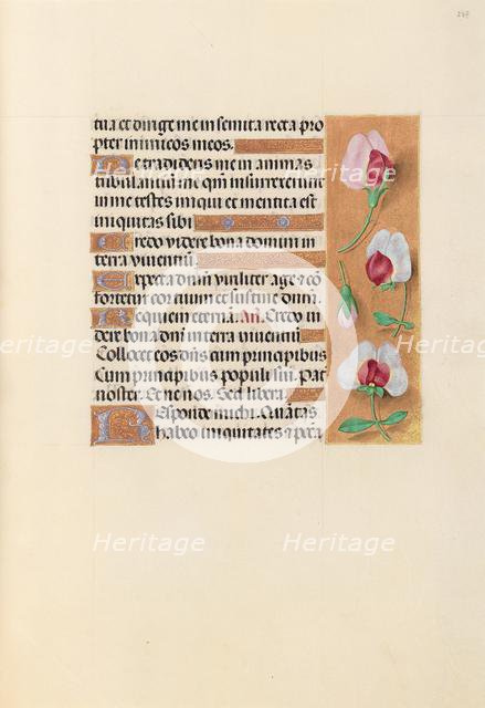 Hours of Queen Isabella the Catholic, Queen of Spain: Fol. 237r, c. 1500. Creator: Master of the First Prayerbook of Maximillian (Flemish, c. 1444-1519); Associates, and.