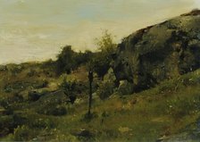 Meadow landscape with rocks, c1860/1870. Creator: Johann Till.