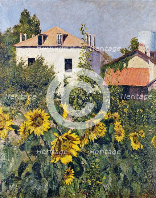 Sunflowers, Garden at Petit Gennevilliers, ca 1885.