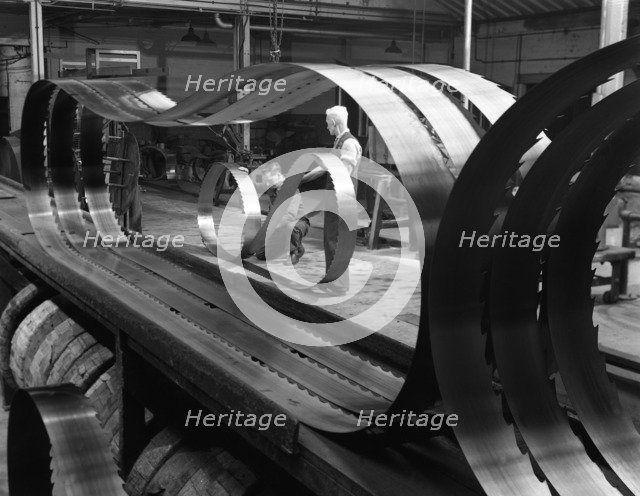 Giant bandsaw blades, Slack Sellers & Co, Sheffield, South Yorkshire, 1963.  Artist: Michael Walters