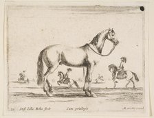 Plate 21: horse, from 'Various animals' (Diversi animali), 1641. Creator: Stefano della Bella.