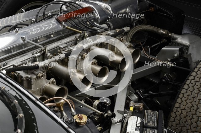 Jaguar D type 1956. Artist: Simon Clay.