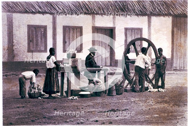 The cassava mill, work in a farming plantation with slaves, lithograph.