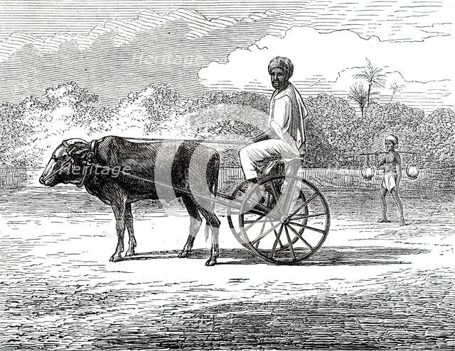 Ramasawmy going to Bazaar, Madras, 1876. Creator: Unknown.