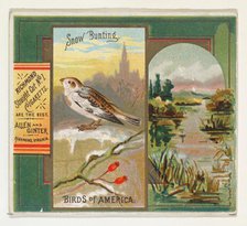 Snow Bunting, from the Birds of America series (N37) for Allen & Ginter Cigarettes, 1888. Creator: Allen & Ginter.