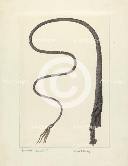 Bull Whip, c. 1937. Creator: Clyde L. Cheney.
