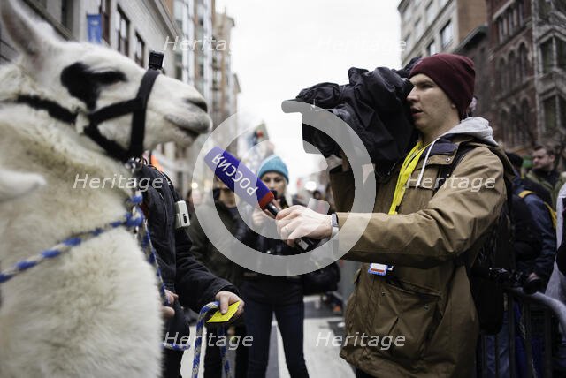 7th and D Sts. NW, Washington, DC. Creator: Chris Suspect.