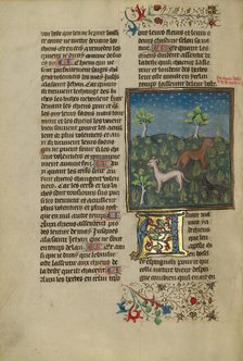 Spaniels; Livre de la Chasse, about 1430-1440. Creator: Unknown.