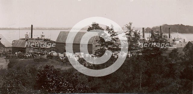 Wilcox Landing, 1861-65. Creator: Andrew Joseph Russell.