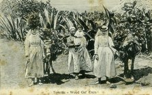 Wood gatherers, Tenerife, Canary Islands, early 20th century(?). Artist: Unknown