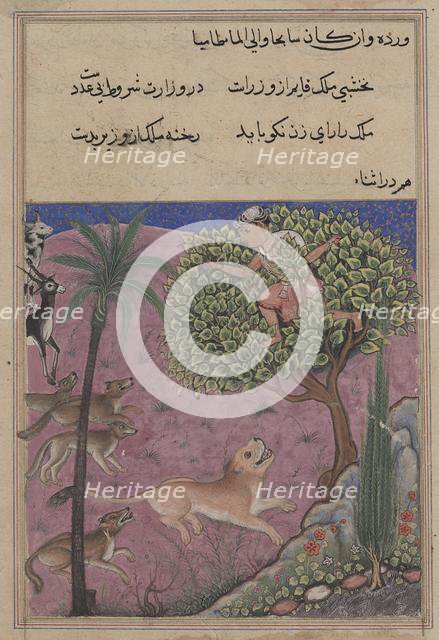 Page from Tales of a Parrot (Tuti-nama): Twenty-first night: The wolf and the jackal..., c. 1560. Creator: Unknown.