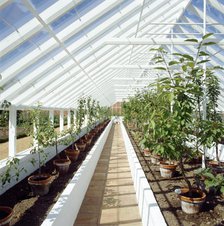 Kitchen garden, Audley End House and Gardens, Saffron Walden, Essex, c2000s(?). Artist: Unknown.