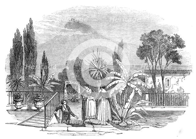 Garden in the Azores, 1845. Creator: Unknown.