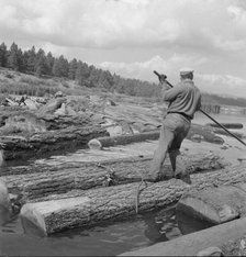 Pond monkey channels log raft, Keno, Klamath County, Oregon, 1939. Creator: Dorothea Lange.