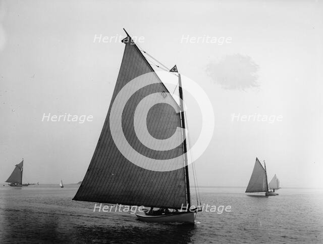 Elsie, 1898 July 30. Creator: John S Johnston.