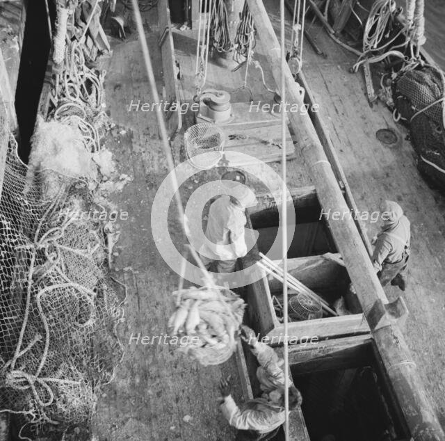 Dock stevedores at the Fulton fish market sending up baskets of fish from..., New York, 1943. Creator: Gordon Parks.