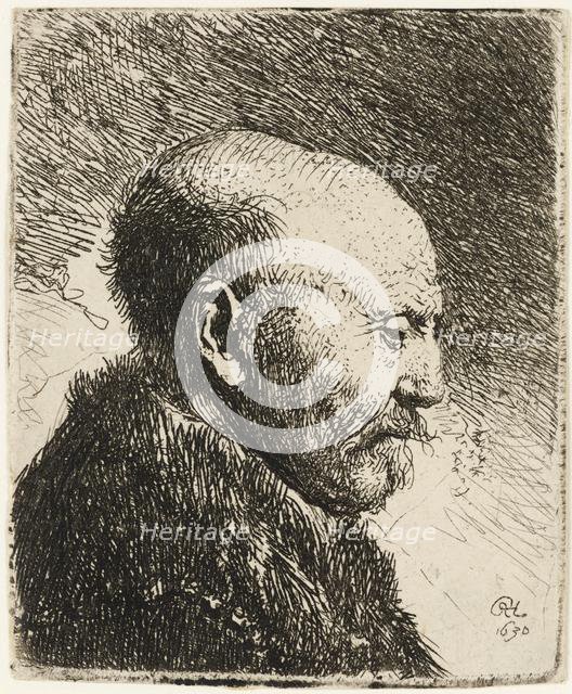 Bald headed man in profile right: Rembrandt's father? 1630. Creator: Rembrandt Harmensz van Rijn.