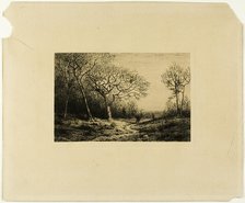 Edge of a Wood, n.d. Creator: Charles Emile Jacque.
