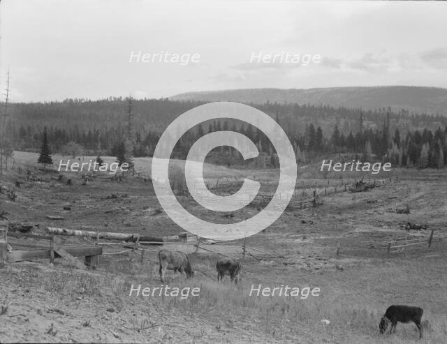 Looking over the Unruf farm from the barn, Boundary County, Idaho, 1939. Creator: Dorothea Lange.