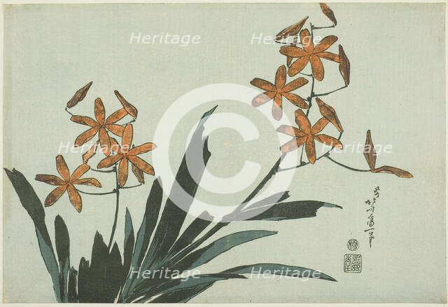 Orange Orchids, from an untitled series of flowers, Japan, c. 1832. Creator: Hokusai.