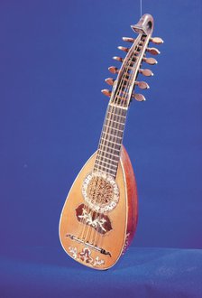 Mandolin of 17th century, transition between lute and mandolin.