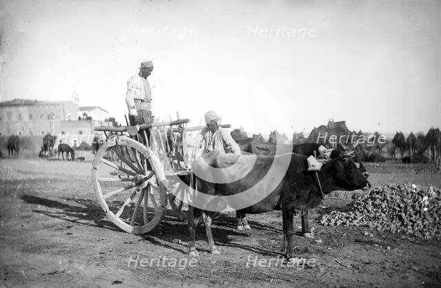 Cyprus, 1878. Creator: John Thomson.