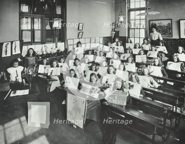 Nature lesson, Albion Street Girls School, Rotherhithe, London, 1908. Artist: Unknown.