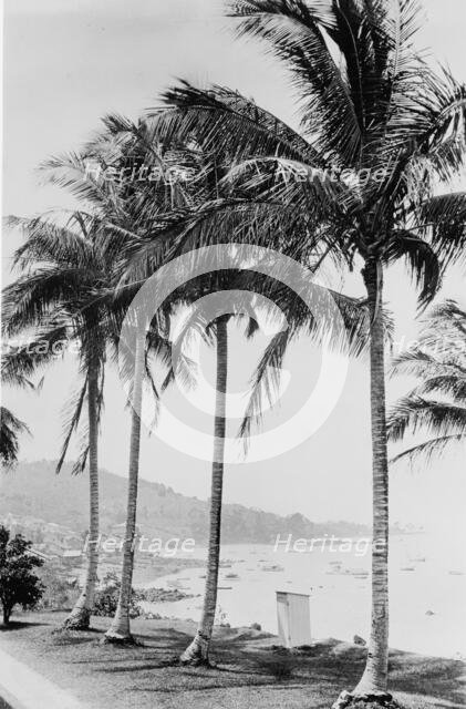Island of Taboga and bay, Panama, c.between 1910 and 1920. Creator: Unknown.