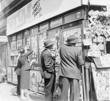 Looking at accomodation notices and job vacancy advertisements in a newsagents window, c1955. Artist: Henry Grant