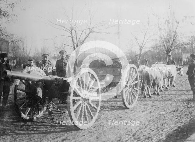 Field gun drawn by oxen, Serbia, between c1915 and c1920. Creator: Bain News Service.